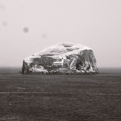 Testimonials-Template-11