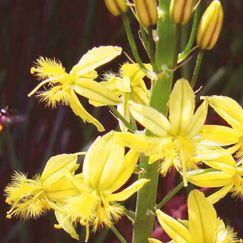 Testimonials-Template-14