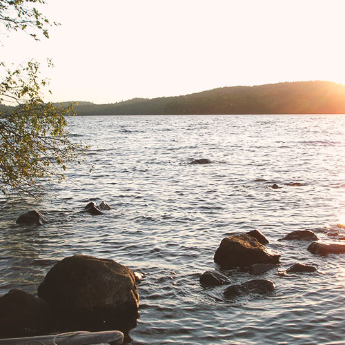 Testimonials-Template-15