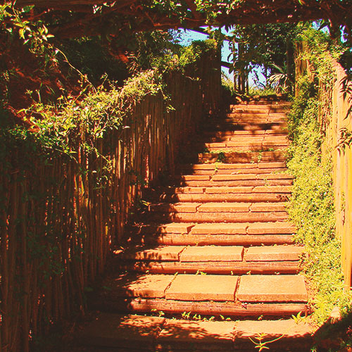 Testimonials-Template-21