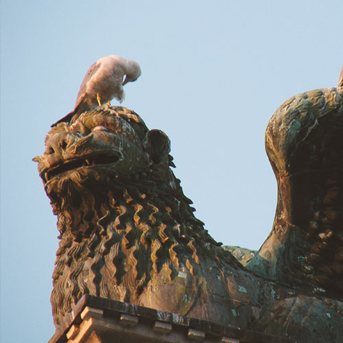 Testimonials-Template-22