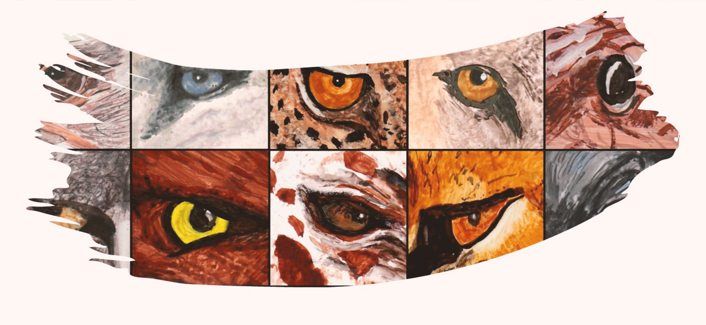 amwa-pto1-Page-Header