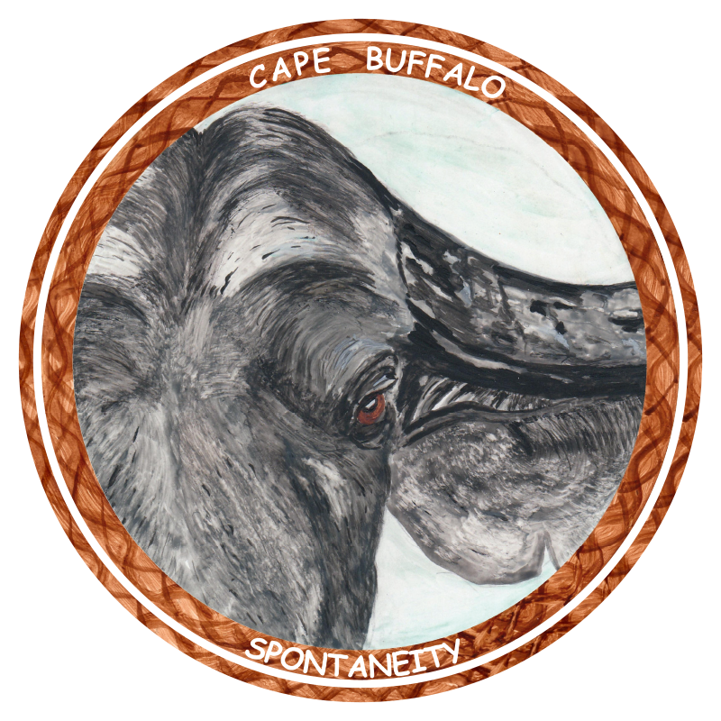 CAPR BUFFALO