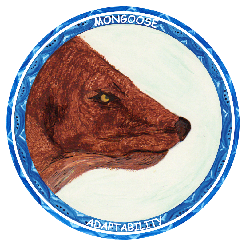 MONGOOSE