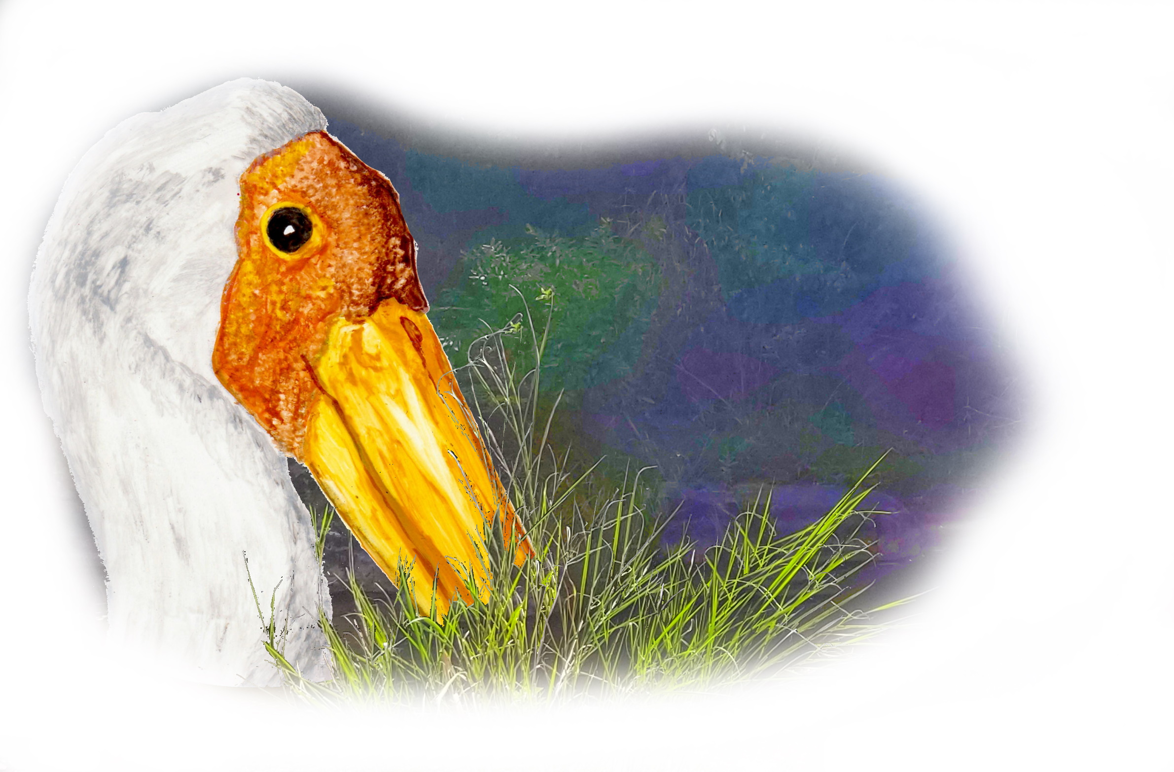yStork