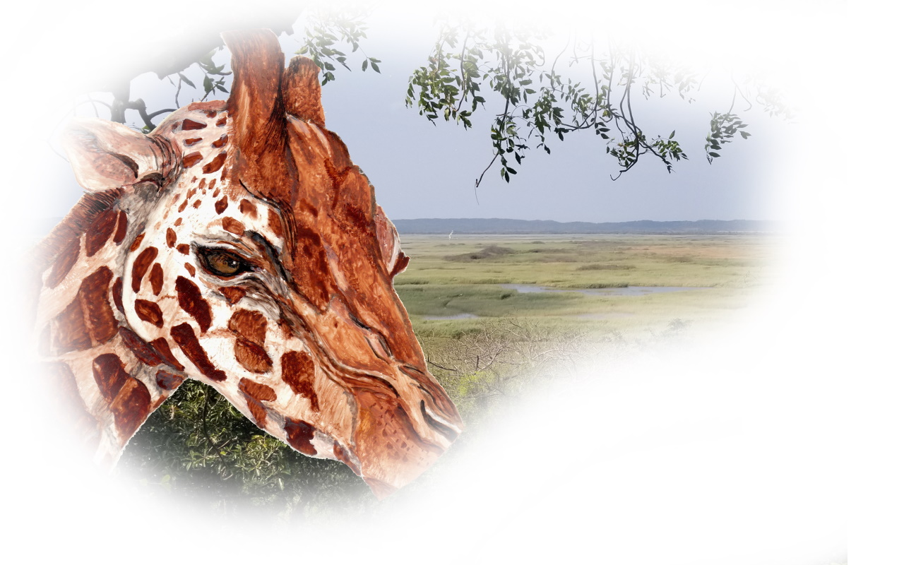 zGiraffe