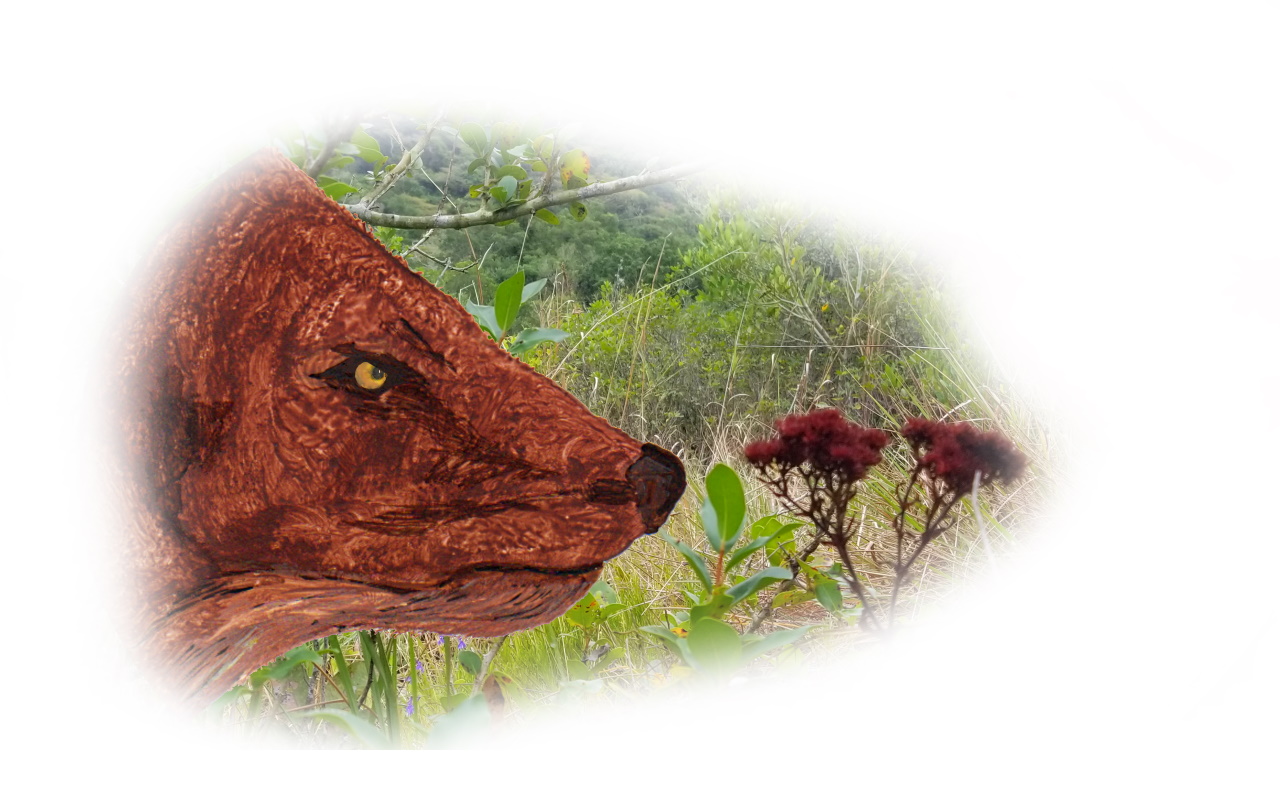zMongoose